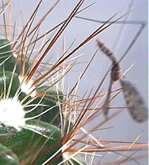 Bist Du jetzt gewarnt?